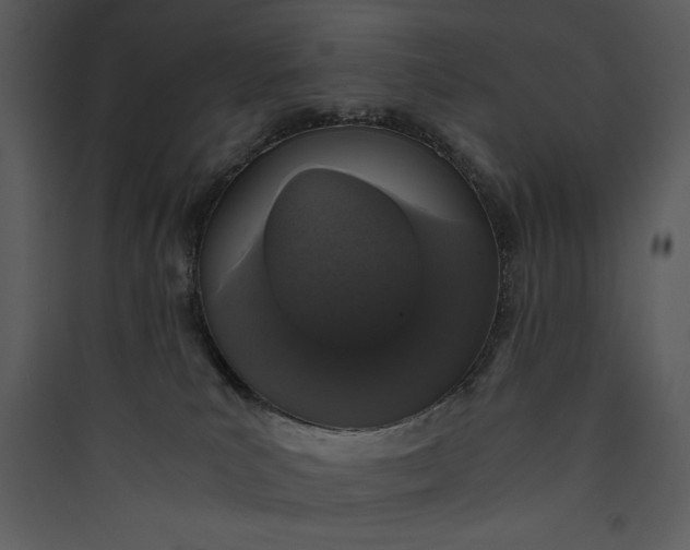 X0000089750039200707121351