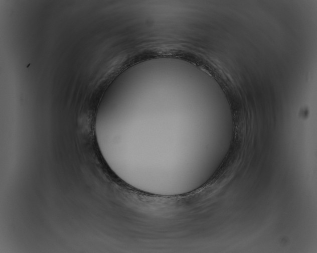 X0000089750044200707121350