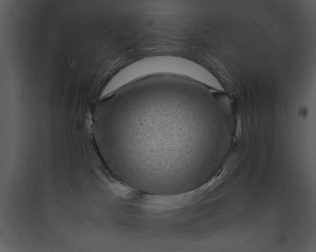 X0000089750045200707121350