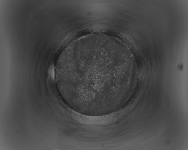 X0000089750046200707121350