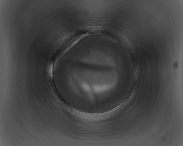 X0000089750047200707121350