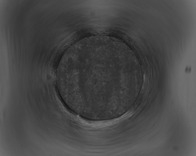 X0000089750048200707121350