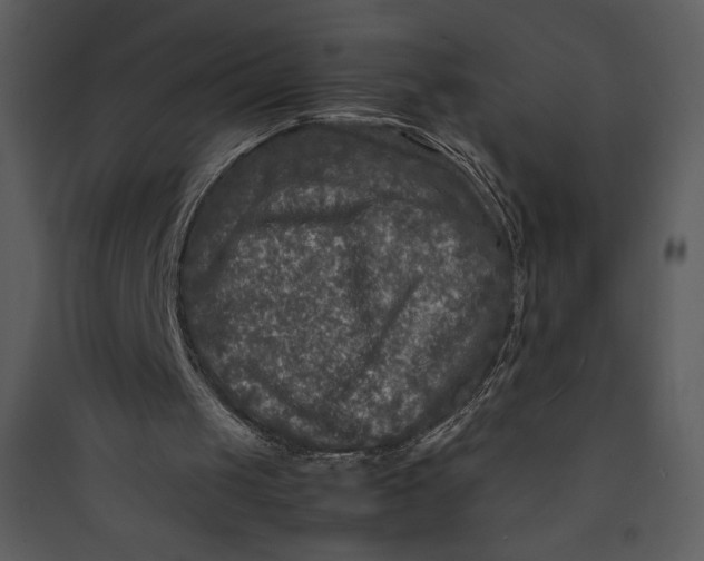 X0000089750049200707121350