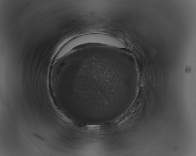 X0000089750052200707121350