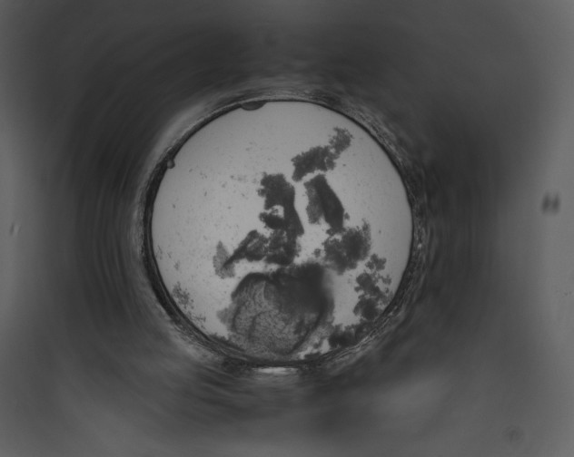 X0000089750053200707121350