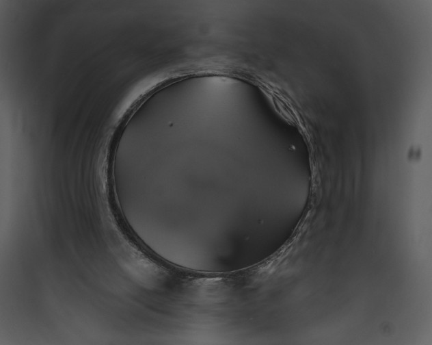 X0000089750054200707121350