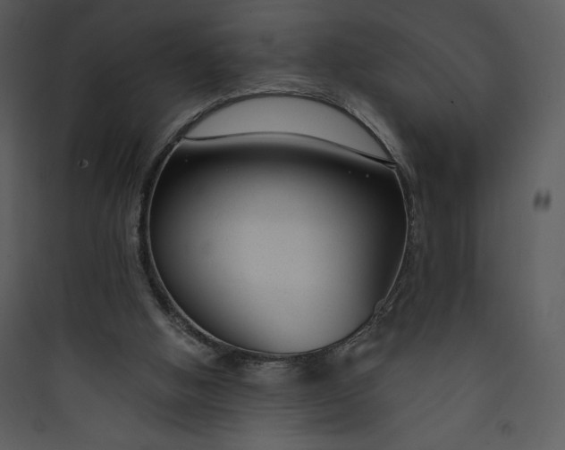 X0000089750058200707121350