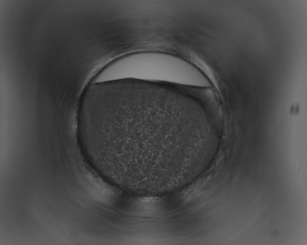 X0000089750059200707121350