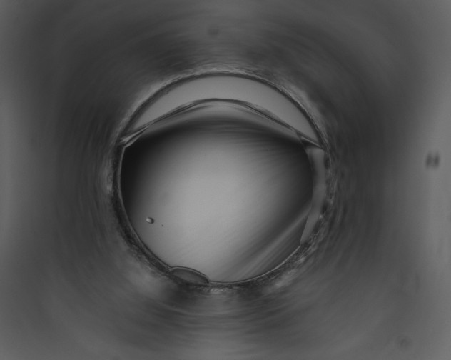 X0000089750060200707121350