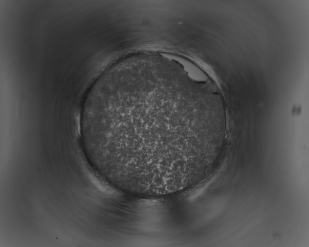 X0000089750061200707121350