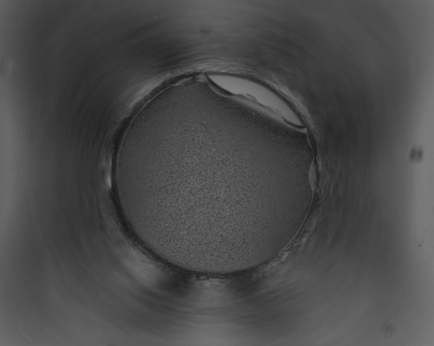 X0000089750062200707121350