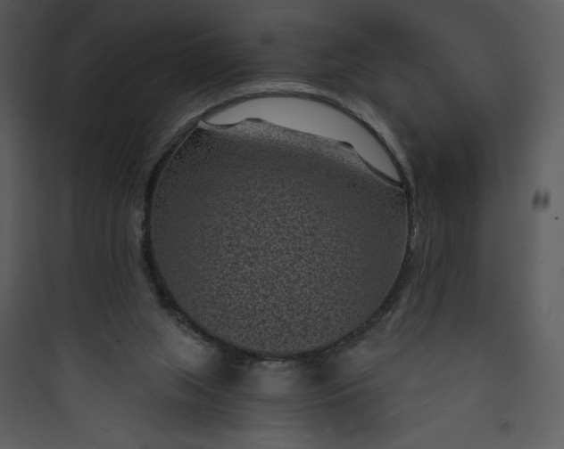 X0000089750063200707121350