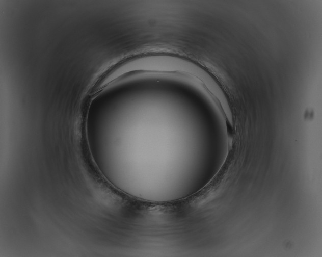 X0000089750064200707121350