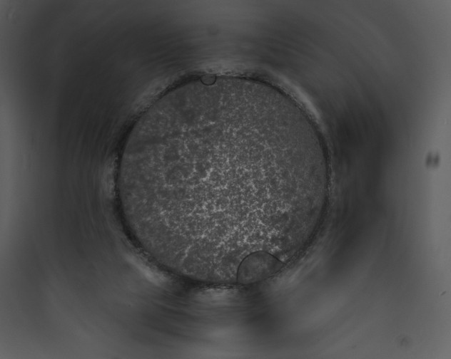 X0000089750065200707121350