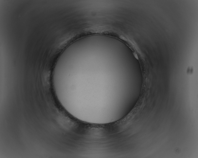 X0000089750066200707121350