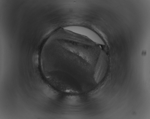 X0000089750067200707121350