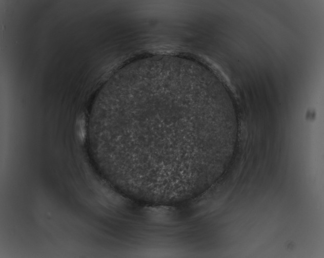 X0000089750069200707121350