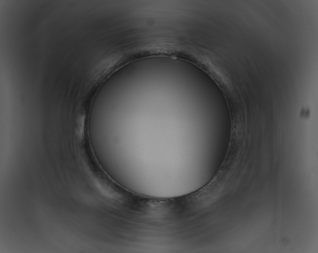 X0000089750070200707121350