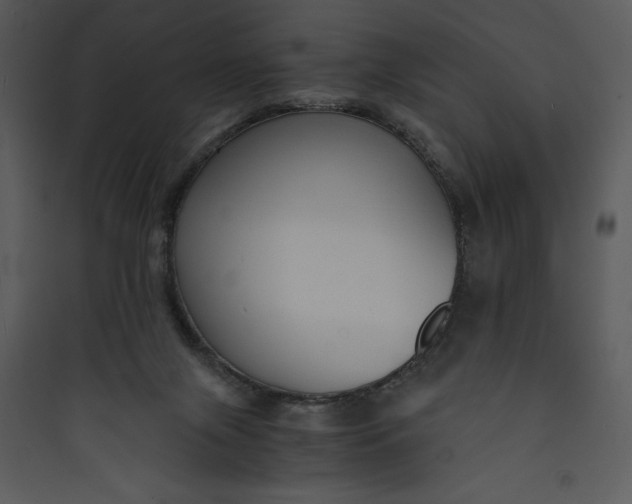 X0000089750071200707121350