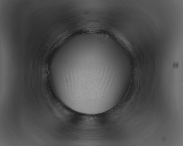 X0000089750073200707121350