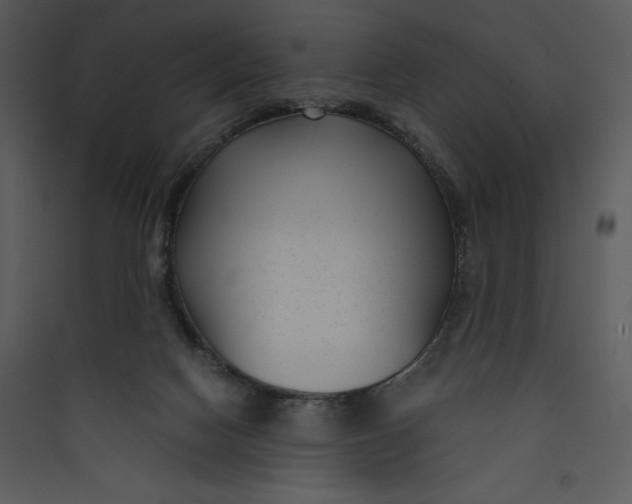 X0000089750074200707121350