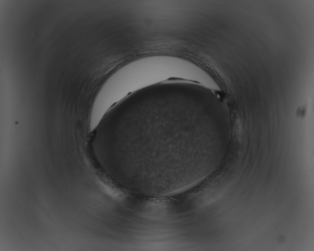 X0000089750076200707121350