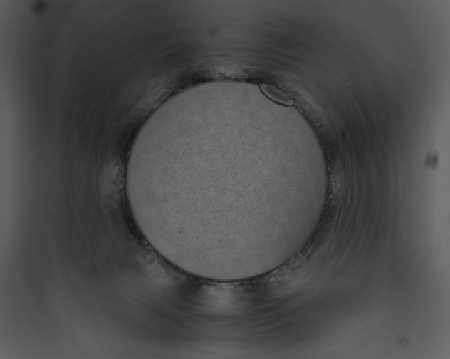 X0000089750079200707121350