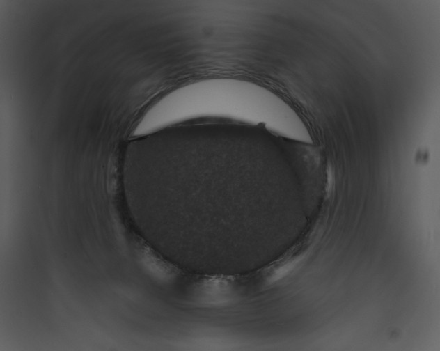 X0000089750080200707121350