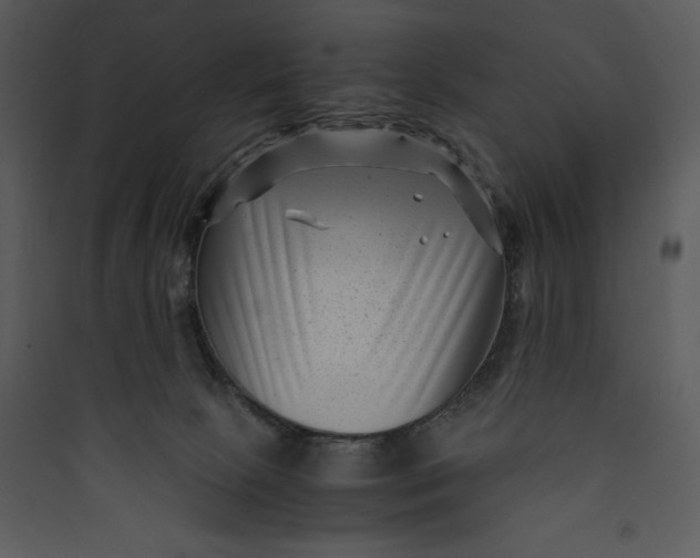 X0000089750081200707121350