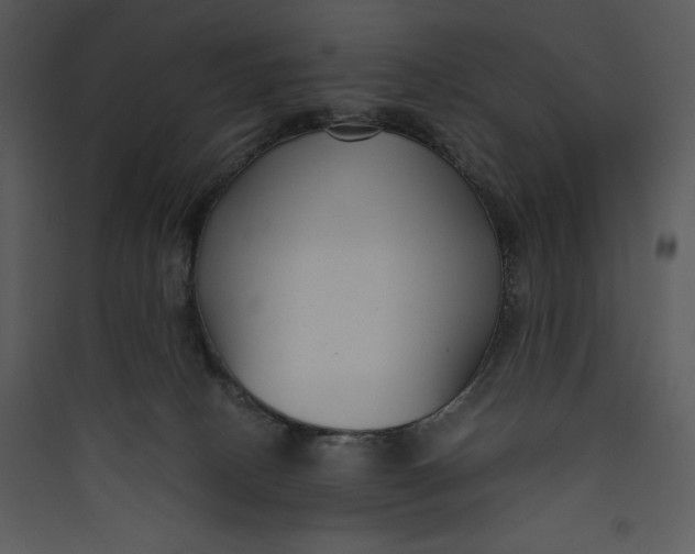 X0000089750082200707121350