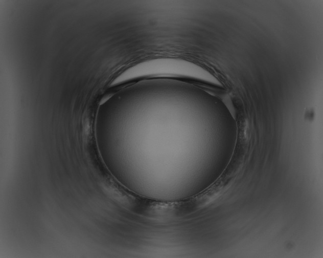 X0000089750084200707121350