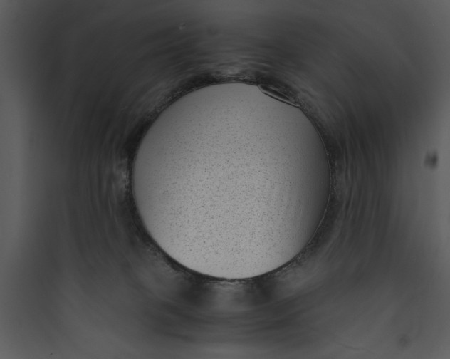 X0000089750085200707121350