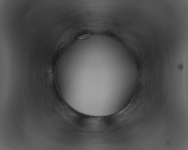 X0000089750086200707121350