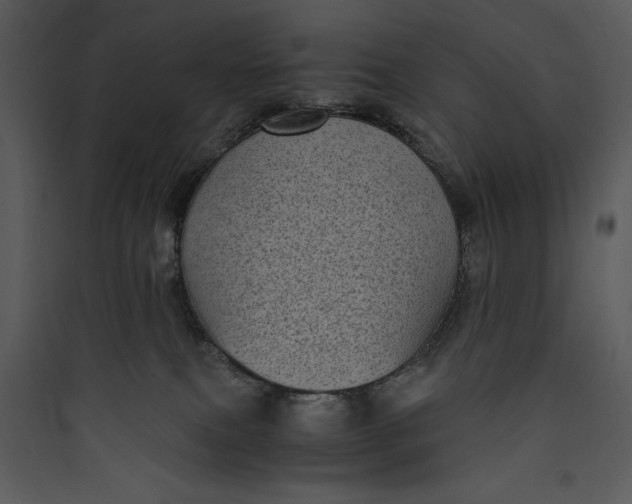 X0000089750087200707121350