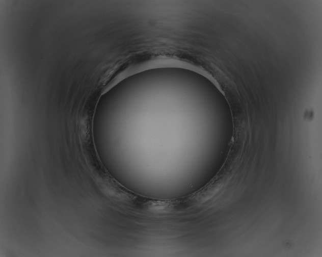 X0000089750088200707121350