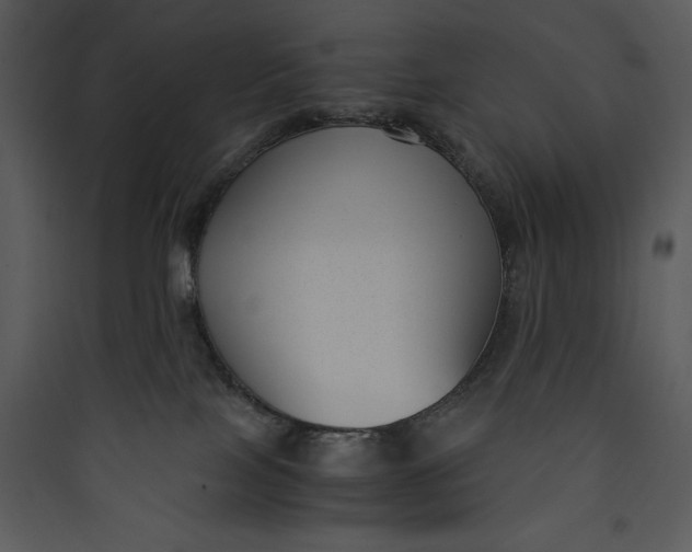 X0000089750089200707121350