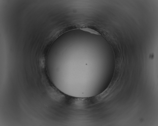 X0000089750090200707121350