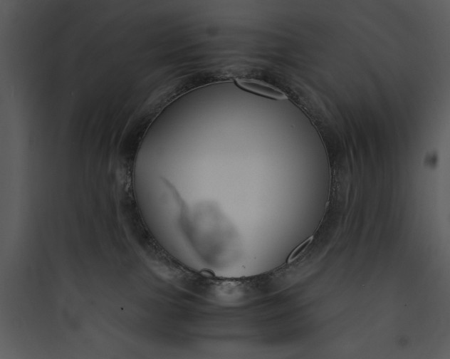 X0000089750091200707121350