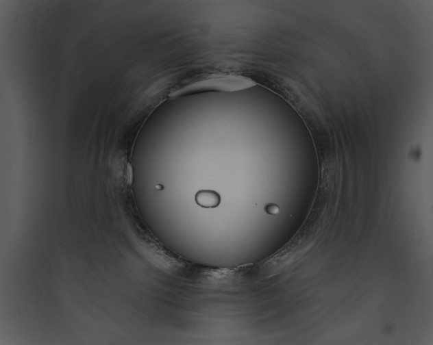 X0000089750092200707121350