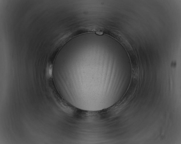 X0000089750095200707121350