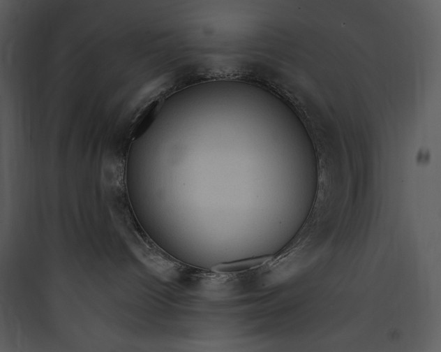 X0000089750096200707121350