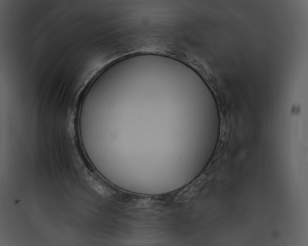 X0000089750098200707121350