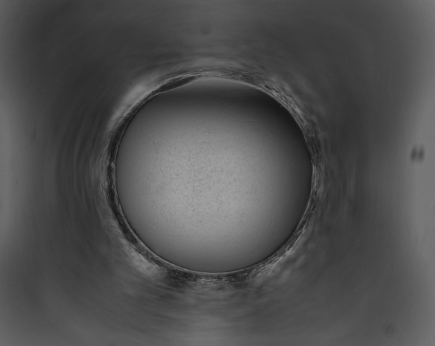 X0000089750101200707121350