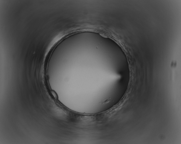 X0000089750102200707121350