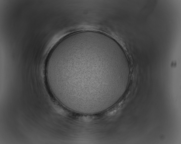 X0000089750103200707121350