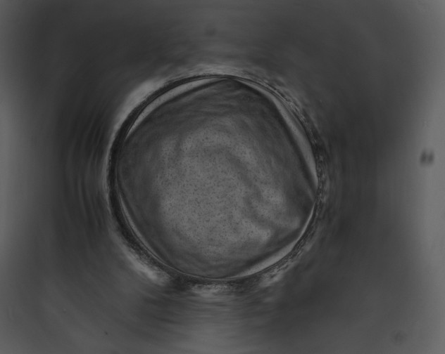 X0000089750104200707121350