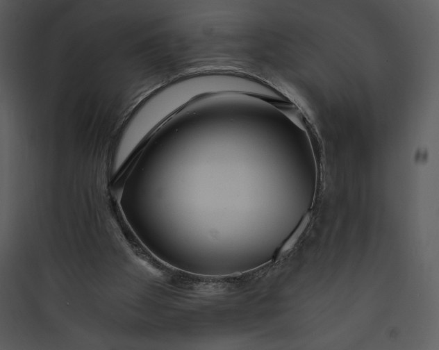 X0000089750105200707121350