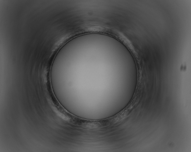 X0000089750106200707121350