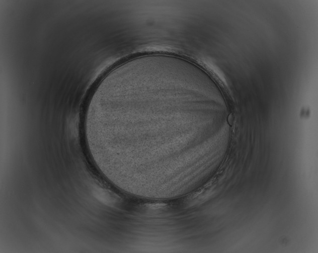 X0000089750108200707121350