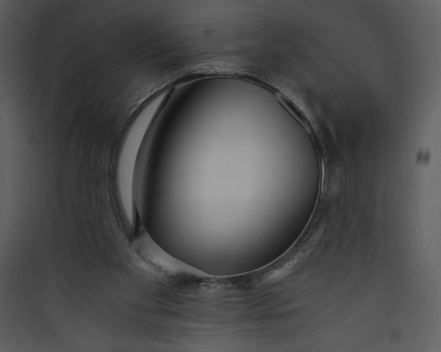 X0000089750109200707121350